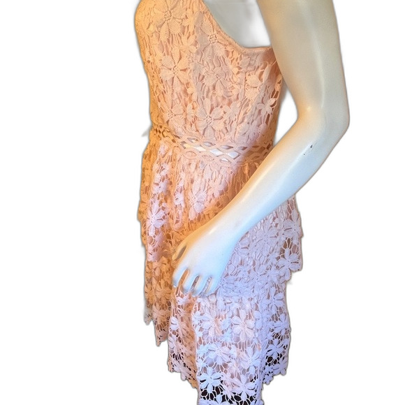BooHoo Petal pink Embroidered Lace Dress Sz 14 Women's  NWT - Picture 2 of 10
